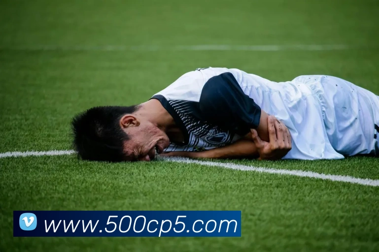 500彩票网APP 封面图
